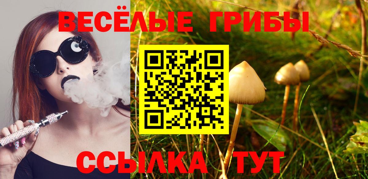 Ржев  закладки  Вход с VPN  Псилоцибиновые грибы MAGIC MUSHROOMS 